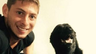 Nala Emiliano Sala perra