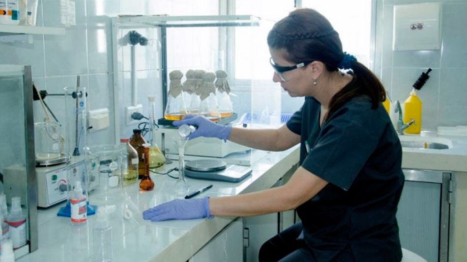 subsidios a investigadores argentinos
