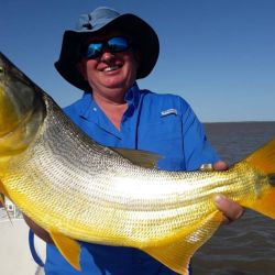 Se están dando una muy buena pesca de dorados en la zona norte del Río de la Plata.