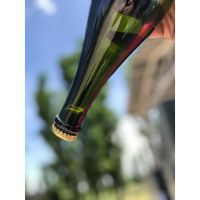 La Mansa Wines Estates