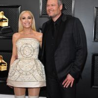 Los mejores looks de la 62ª Edición de los Grammy Awards 