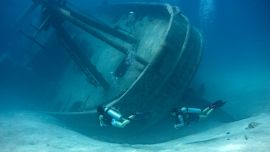 2701_Kittiwake_naufragio