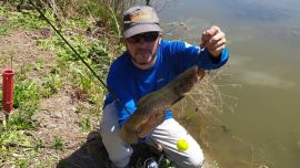 Las tarariras van desde 1 a 2,5 kg.