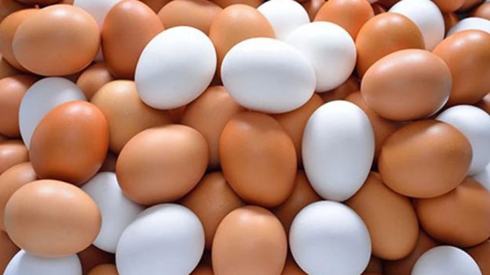 Aumentó un 5% el consumo de huevos en el país.