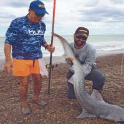 Tiburón gatopardo de más de 30 kg pescado a tiro de caña.