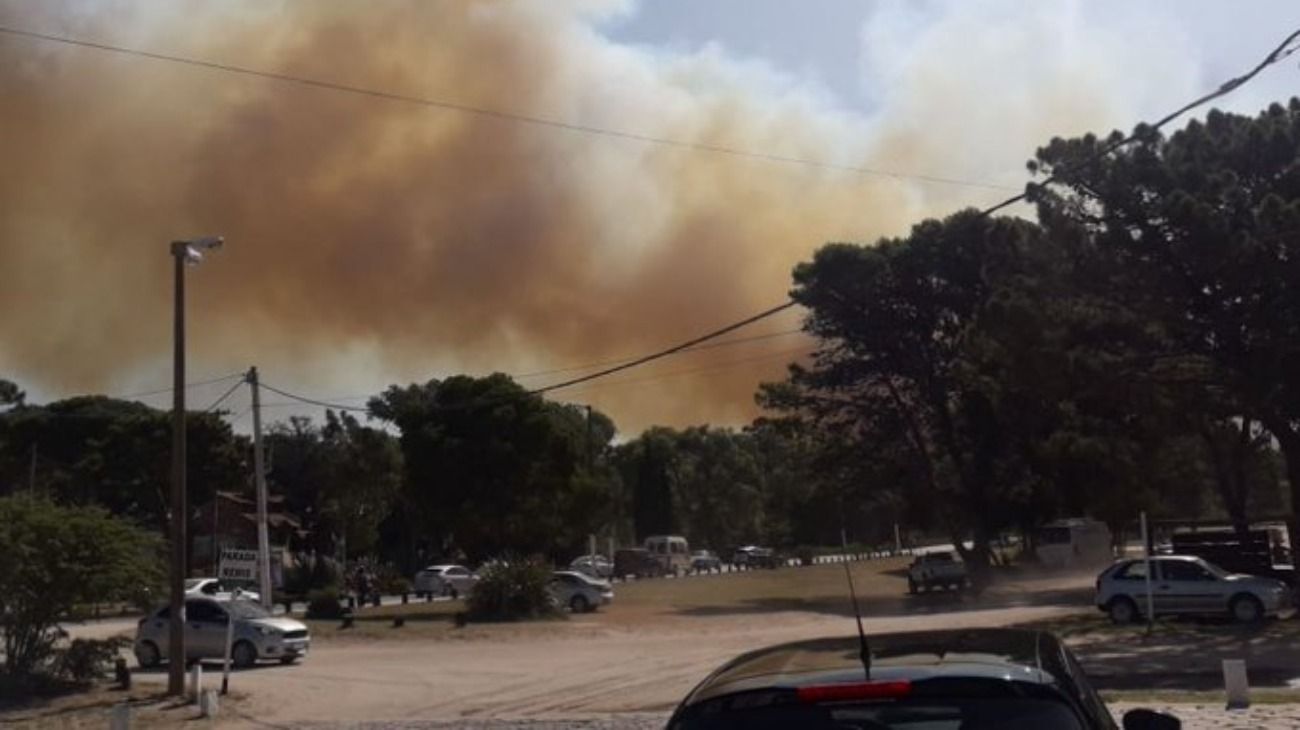 Un feroz incendio se desató en la entrada de Villa Gesell.