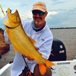 Los dorados no podían faltar.