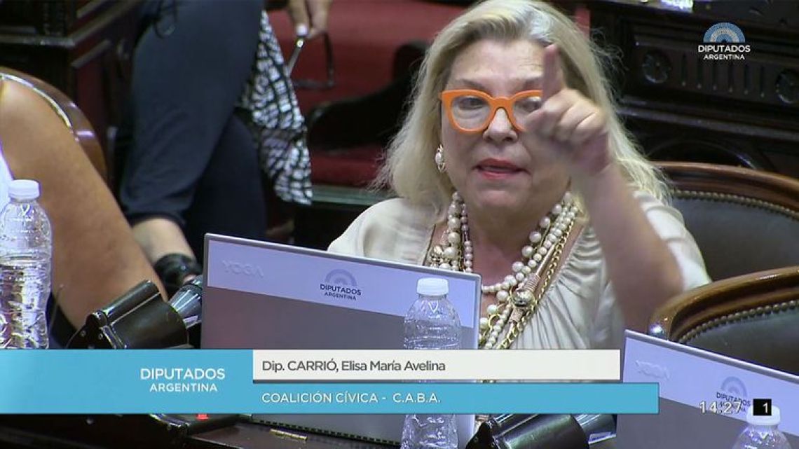 Carrió en una de sus últimas sesiones. | Foto:Cedoc