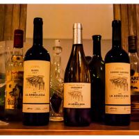 Terroir La Insignia