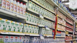CIFRA. La producción láctea alcanzará los 10.575 millones de litros anuales.