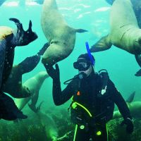 Espiá el viaje aventurero de Barby Vélez nadando con lobos marinos