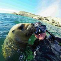 Espiá el viaje aventurero de Barby Vélez nadando con lobos marinos