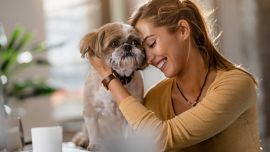 las-mascotas-se-convierten-en-protagonistas-y-terminan-siendo-los-mas-mimados-de-la-casa