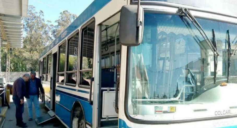 0211-colectivos-00