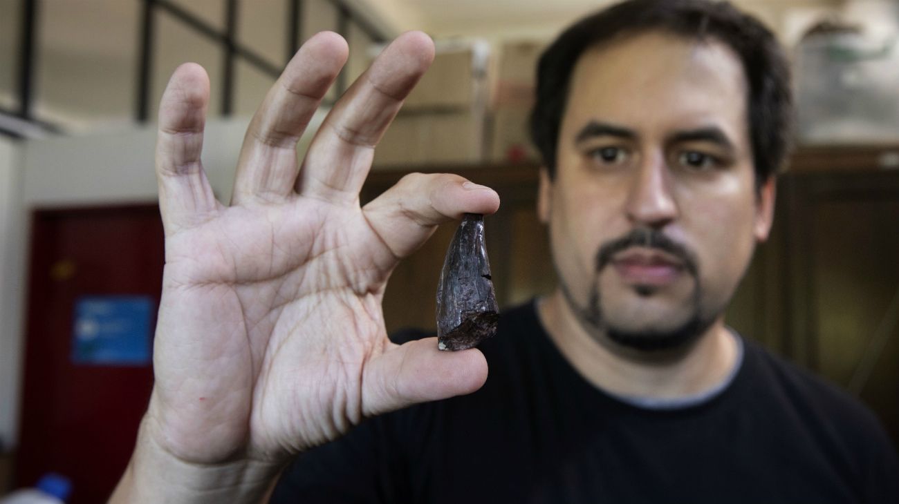 El laboratorio de anatomía comparada y evolución de los vertebrados del Museo de Ciencias Naturales Bernardino Rivadavia (Bs.As.)