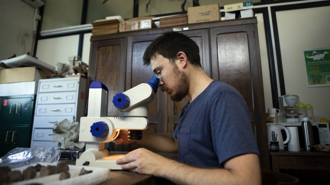 El laboratorio de anatomía comparada y evolución de los vertebrados del Museo de Ciencias Naturales Bernardino Rivadavia (Bs.As.)