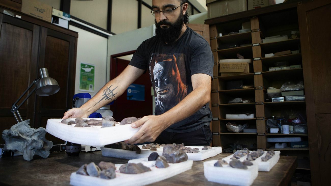 El laboratorio de anatomía comparada y evolución de los vertebrados del Museo de Ciencias Naturales Bernardino Rivadavia (Bs.As.)