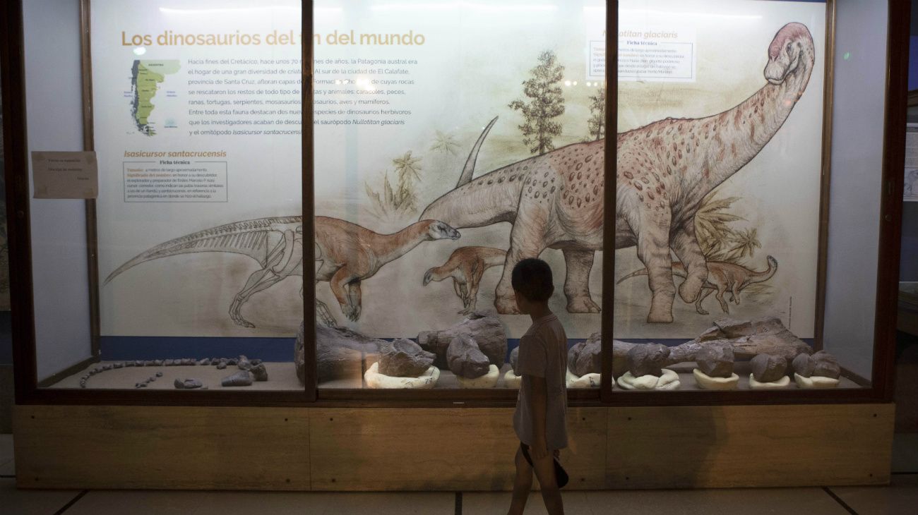 El laboratorio de anatomía comparada y evolución de los vertebrados del Museo de Ciencias Naturales Bernardino Rivadavia (Bs.As.)