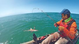 0502_variada_faro_querandi