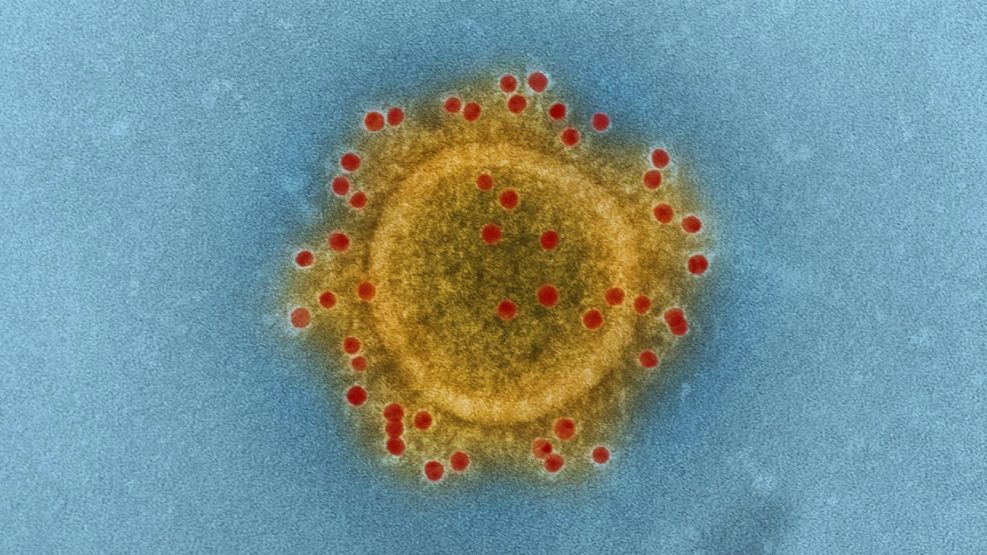 coronavirus