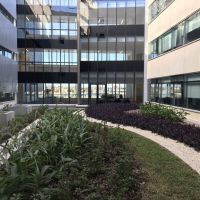 Estudio Marta Carena & Asoc