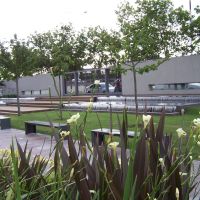Estudio Marta Carena & Asoc