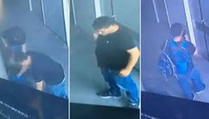 Imprudentes. Ladrones en el Hospital de Niños de La Plata, registrados por una cámara de seguridad antes de robarse un ecógrafo. Para desconectar un aparato de encefalogramas hay que saber cómo funciona para no dañarlo.