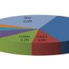 Venta de autos usados por provincia (enero de 2020). Crédito: CCA.