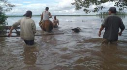 lluvias inundaciones tucuman