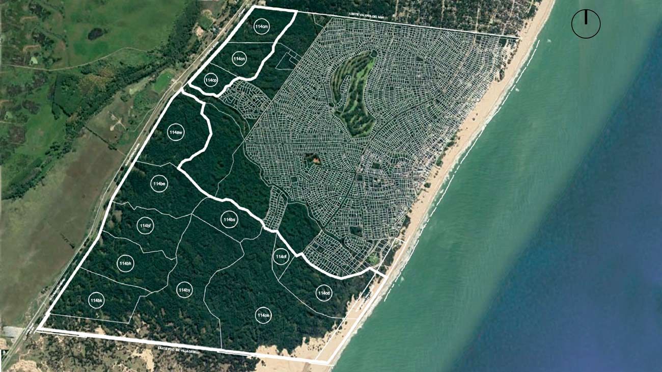 Carilo II: Quieren hacer un megaproyecto inmobiliario en un "paisaje protegido"