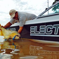 Como siempre, pesca y devolución.