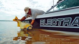 Como siempre, pesca y devolución.