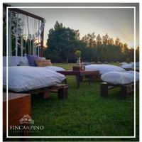 Finca El Pino