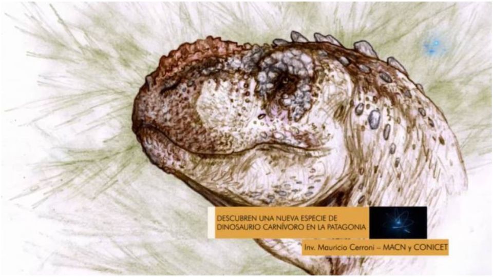 El dinosaurio Tralkasaurus cuyi es la nueva especie encontrada.
