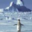 Study: Antarctic Peninsula at warmest in decades