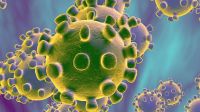 16_02_2020_Coronavirus_Cordoba_Cedoc