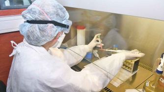 20200216_cientificos_malbran_coronavirus_juanobregon_g.jpg