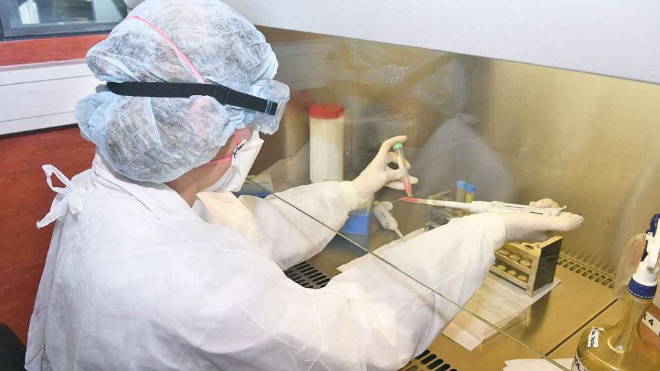 En foco. El Laboratorio de Seguridad Biológica donde se realiza el diagnóstico de coronavirus.