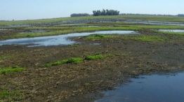 Inundaciones