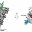 Scientists announce 'breakthrough' atomic map of Coronavirus