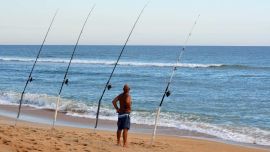 Las cañas de pescar están divididas en cuatro grandes grupos.