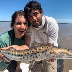 También pudieron dar con algún cachorro de surubí.