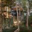 0221_casa_arboles