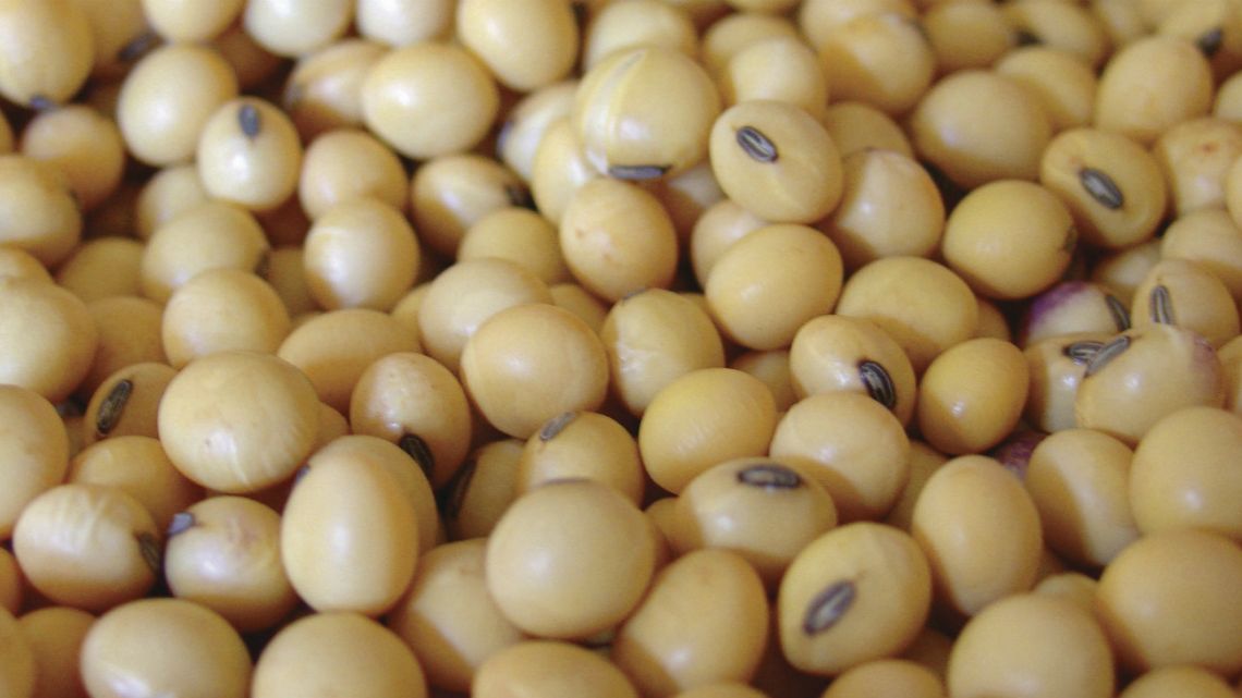 The government of Alberto Fernández announced on Monday that it would increase in the coming days three percentage points to the retention of soybeans and their derivatives.