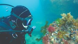 0227_buceo2