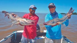 Doblete de surubíes para Elías y Mauro, pescando con morenas del tipo botellonas.