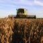 Argentina set to hit farmers with more taxes to fix budget woes