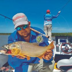 Doradillos pescados desde el agua utilizando equipos de spinning. Los señuelos tipo glidding dieron los mejores resultados. 