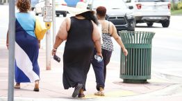 La prevalencia de obesidad severa entre los adultos negros era la más alta.