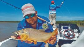 Doradillos pescados desde el agua utilizando equipos de spinning. Los señuelos tipo glidding dieron los mejores resultados.